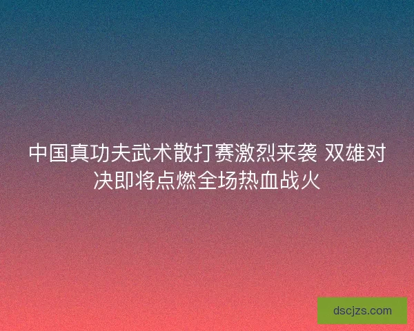 中国真功夫武术散打赛激烈来袭 双雄对决即将点燃全场热血战火
