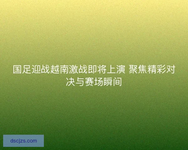 国足迎战越南激战即将上演 聚焦精彩对决与赛场瞬间